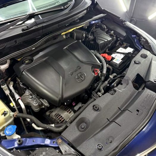 Engine bay safe wash & detail at Car Valet Hero Longford (Mastertech Bus. Park), Midland Detail & MotorWorks (1)